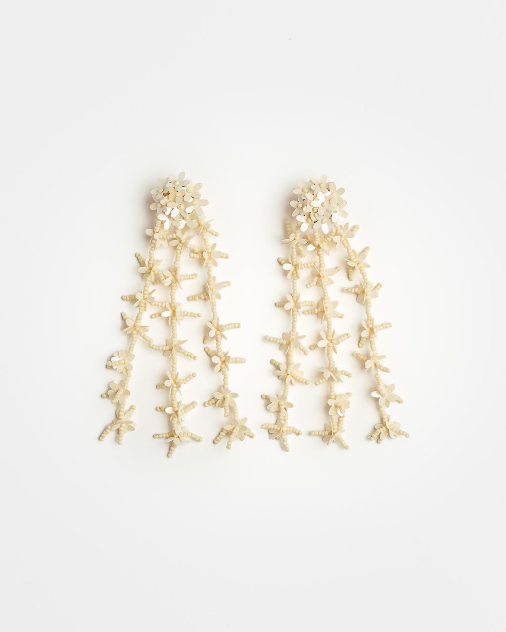 Aros Coral