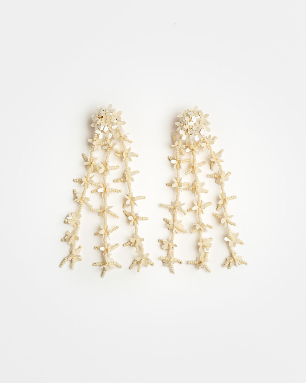 Aros Coral